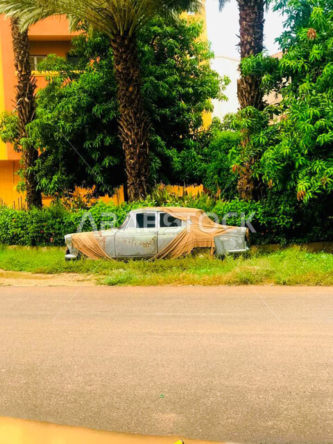 صورة لسيارة قديمة متأكلة ، سيارة صدئة من الطراز القديم ، الأِشجار الخضراء الطبيعية ، خلفية الطبيعة