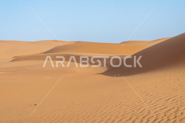 الكثبان الرملية في المناطق الصحراوية، التشكيلات الرملية، الرمال الذهبية في الصحراء، التضاريس الصحراوية، مناطق صحراوية، جمال الطبيعة الصحراوية