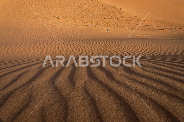 الكثبان الرملية في المناطق الصحراوية، التشكيلات الرملية، الرمال الذهبية في الصحراء، التضاريس الصحراوية، مناطق صحراوية، جمال الطبيعة الصحراوية