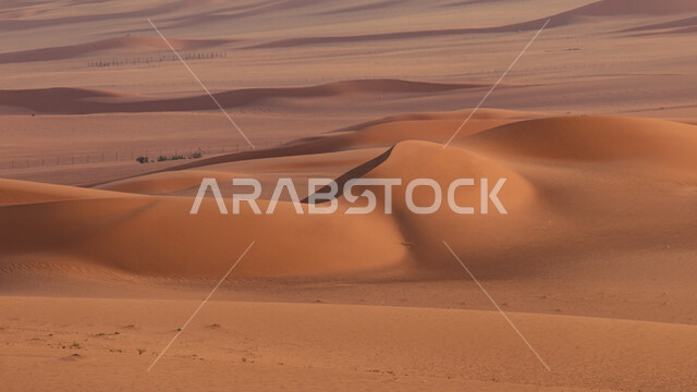 الكثبان الرملية في المناطق الصحراوية، التشكيلات الرملية، الرمال الذهبية في الصحراء، التضاريس الصحراوية، مناطق صحراوية، جمال الطبيعة الصحراوية