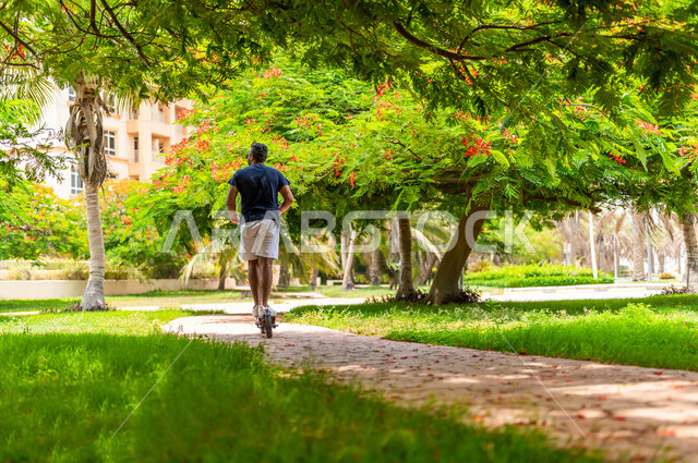 زاوية من الخلف لرجل عربي خليجي سعودي يقود السكوتر الكهربائي في إحدى الحدائق السياحية الترفيهية في المملكة العربية السعودية، يرتدي الزي الرياضي، قضاء أوقات ممتعة، أنشطة ترفيهية، خلفية الطبيعة، حدائق عامة