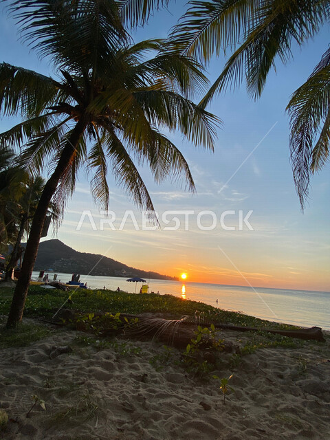 الاشجار والنباتات على شاطئ البحر، الجبال والمرتفعات، غروب الشمس الساحر، مناظر طبيعية خلابة، اماكن ترفيهية سياحية