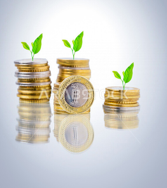 مجموعة من العملات المعدنية السعودية، عملة الريال السعودي، ريال سعودي من فئة 1 ريال، عملات معدنية، النمو الإقتصادي، الاستدامة المالية، مالية واقتصاد، خلفية بيضاء