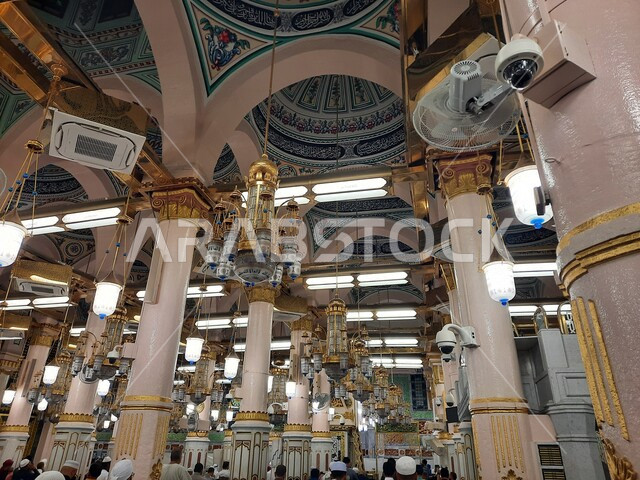 صوره للمصلين في الروضه المشرفه في المسجد النبوي الشريف, مسجد رسول الله, الروضه الشريفه, آداء الصلاه في الحرم النبوي في المدينه المنوره, إسلاميات وعباده