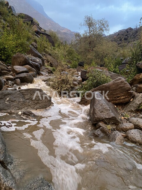 تصوير لجريان الماء بين الصخور في الجبال, طبيعه جبليه صخريه, الأشجار والنباتات الجبليه, أجواء ضبابيه جميله, الطبيعه  في المملكه العربيه السعوديه