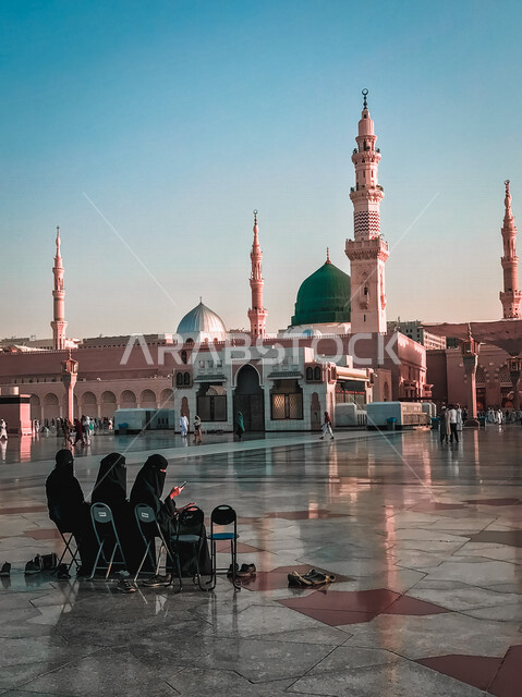 مجموعة من النساء يجلسن على الكراسي في ساحة المسجد النبوي الشريف في المدينة المنورة بالمملكة العربية السعودية، الحرم النبوي الشريف، المسجد النبوي الشريف، العبادة والتقرب إلى الله، المعالم الدينية بالسعودي