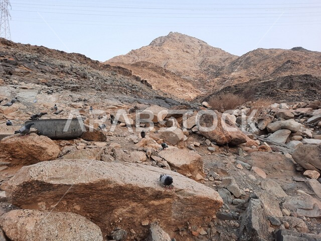 جبل غار ثور جنوب مكة المكرمة بالمملكة العربية السعودية ، جبال مكة ، أماكن إسلامية مقدسة ، جبال السعودية ، معالم تاريخية إسلامية 
