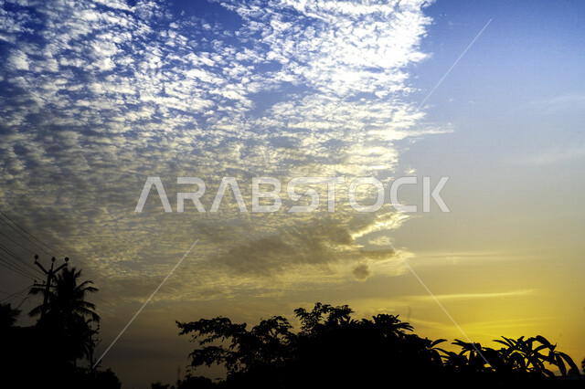 جمال السماء الزرقاء الملبدة بالغيوم وقت غروب الشمس، صورة ظلية للاشجار والنباتات، مناظر طبيعية خلابة، غروب الشمس الساحر، خلفية الطبيعة