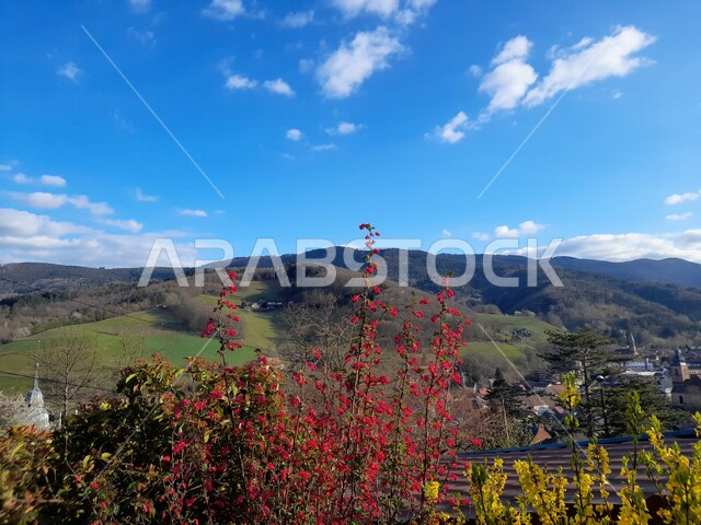 الاشجار والنباتات الخضراء في الحقول الزراعية، المحاصيل الزراعية، أراضي زراعية، جمال الطبيعة الخلابة، خلفية الطبيعة