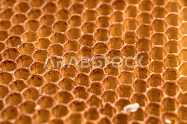 خلية نحل ( قفير النحل ) ، عيون العسل السداسية ، أقراص العسل ، شمع العسل ، تخزين العسل و حبوب اللقاح