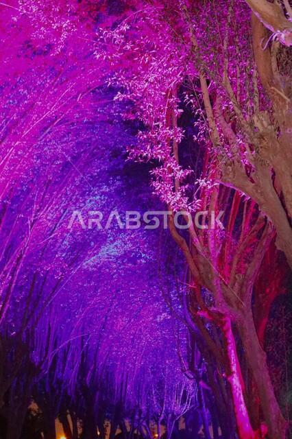 مهرجان الأضواء في مدينة الرياض, موسم الرياض 2022, إحتفالات أنوار الرياض, مهرجاء الضوء, موسم سياحي, أنشطه ترفيهيه, السياحه في المملكه العربيه السعوديه