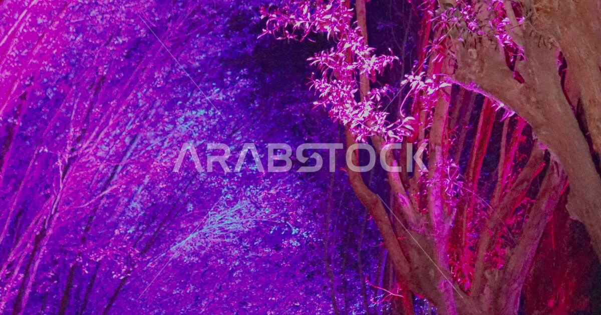 Lights Festival in Riyadh, Riyadh season 2022, Riyadh lights, light