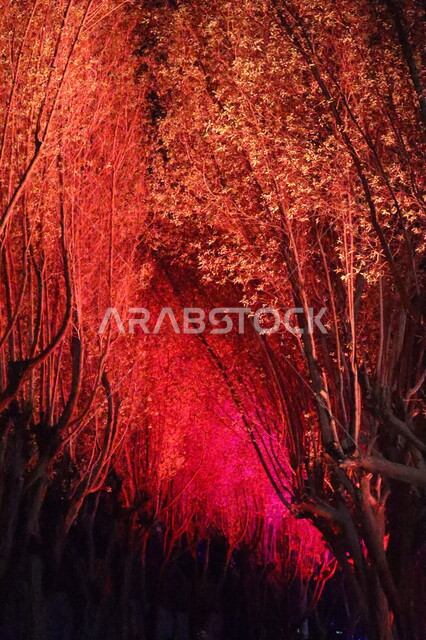 مهرجان الأضواء في مدينة الرياض, موسم الرياض 2022, إحتفالات أنوار الرياض, مهرجاء الضوء, موسم سياحي, أنشطه ترفيهيه, السياحه في المملكه العربيه السعوديه