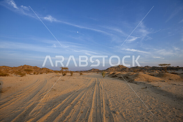 Desert areas, golden desert sands, barren desert, desert nature, desert terrain, beauty of desert nature, desert environment, sandy hills