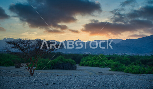 Stunning nature beauty during sunset, cloudy sky, green trees and plants, mountains and heights, scenic beauty of nature, landscapes, nature background