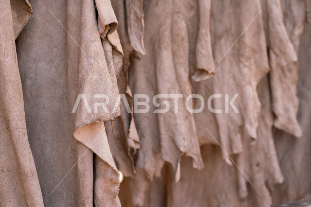 تعليق الجلود في المدبغة، تجفيف الجلود، دباغة الجلود، صناعات يدوية، اعمال ومهن قديمة