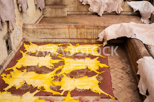 مجموعة من الجلود الصفراء المصبوغة في المدبغة، تجفيف الجلود، دباغة الجلود، صناعات يدوية، اعمال ومهن قديمة