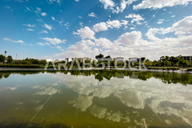 An artificial lake in one of the public parks, trees and green plants, a water lake, luxury residential complexes, residential compounds, engineering architectural development, an upscale residential neighborhood, gardens and parks within residential comp