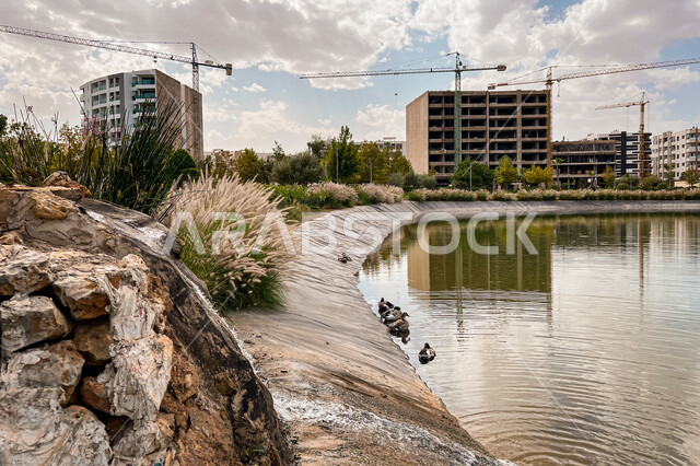 بحيرة اصطناعية في احد الحدائق العامة، الاشجار والنباتات الخضراء، بحيرة مائية، مجمعات سكنية فاخرة، كومباوند سكني، التطوير المعماري الهندسي، حي سكني راقي، حدائق ومنتزهات داخل المجمعات السكنية