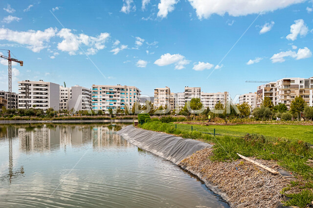 An artificial lake in one of the public parks, trees and green plants, a water lake, luxury residential complexes, residential compounds, engineering architectural development, an upscale residential neighborhood, gardens and parks within residential comp