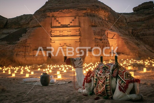 صورة مقربة لجمل ابيض جميل في العلا بالمملكة العربية السعودية، مجموعة من الشموع المضيئة امام المتحف الطائر، شموع مضيئة، تجهيزات مهرجان شتاء طنطورة في الحجر التاريخي بالعلا، التكوينات الصخرية، السياحة في السعودية