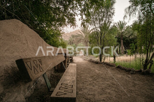 صورة مقربة لكرسي جلوس في احد الحدائق العامة، الاشجار والنبتات الخضراء، اماكن ترفيهية، جمال الطبيعة الخلابة، اماكن سياحية