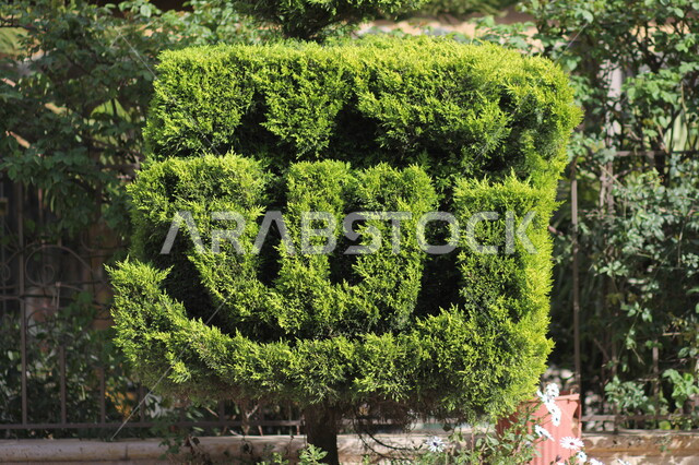 صورة مقربة لشجرة مزخرفة على شكل كلمة الله، الاشجار والنباتات الخضراء، مناظر طبيعية خلابة، قص وترتيب الاشجار