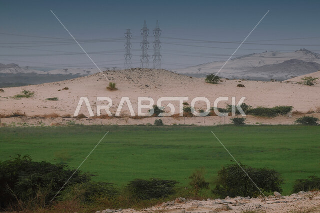 الطبيعة الخضراء ، النباتات والأشجار الطبيعية الخضراء ، البيئة الطبيعية ، المملكة العربية السعودية ، الطبيعة في السعودية، منظر للزراعة الخضراء من صحراء جدة ، أراضي زراعية ، المسطحات الخضراء