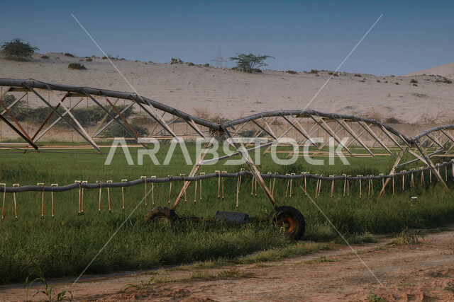 الطبيعة الخضراء ، النباتات والأشجار الطبيعية الخضراء ، البيئة الطبيعية ، المملكة العربية السعودية ، الطبيعة في السعودية، منظر للزراعة الخضراء من صحراء جدة ، أراضي زراعية ، المسطحات الخضراء