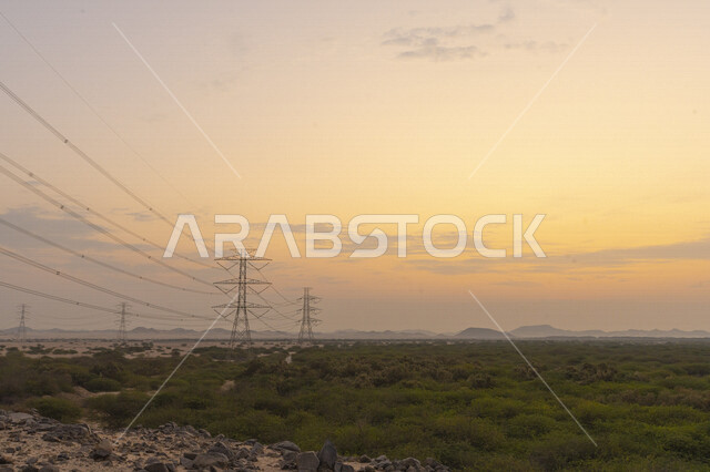 المناظر الطبيعية الصحراوية ، الأشجار الخضراء ، الطبيعة الصحراوية ، خلفية الطبيعة ، المملكة العربية السعودية