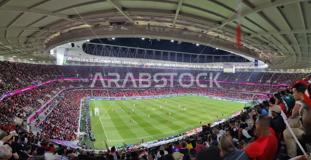 ملعب أحمد بن علي في مدينة الدوحه في قطر, بطولة كأس العالم 2022 في قطر, نهائيات كأس العالم 2022, كاس العالم فيفا, مونديال قطر, تشجيع الفريق القطري لكرة القدم, الشغف بكرة القدم, أنديه وتشجيع