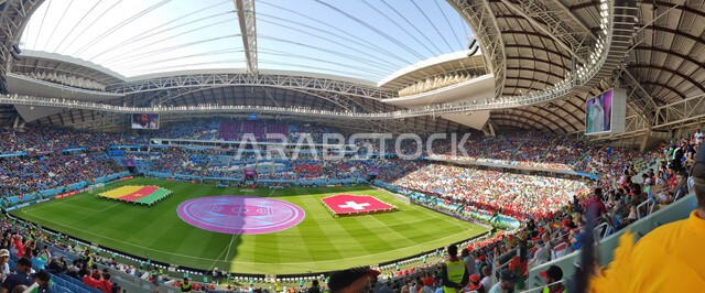 ملعب أحمد بن علي في مدينة الدوحه في قطر, بطولة كأس العالم 2022 في قطر, نهائيات كأس العالم 2022, كاس العالم فيفا, مونديال قطر, تشجيع الفريق القطري لكرة القدم, الشغف بكرة القدم, أنديه وتشجيع