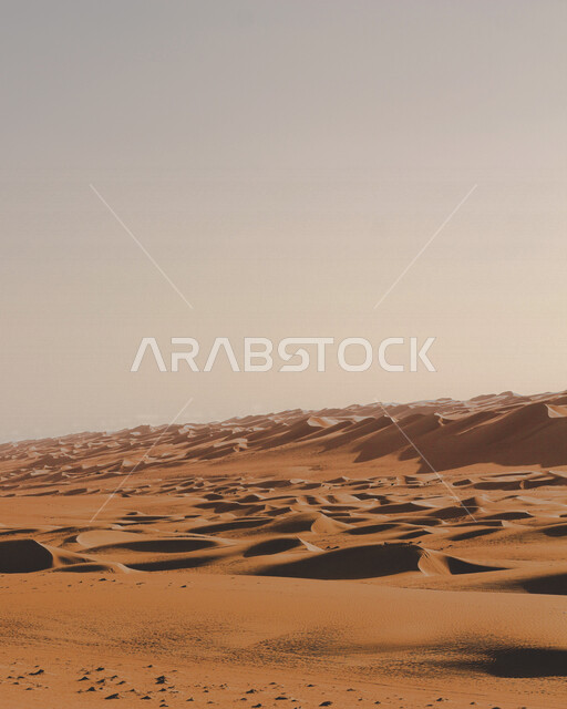 التلال الرملية الصحراوية، طريق صحراوي ، الكثبان الرملية، الرمال الناعمة، المناطق الصحراوية، الطبيعة الصحراوية، التضاريس الصحراوية