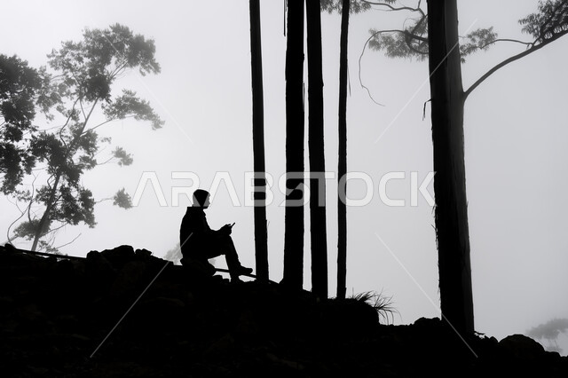 صورة ظلية لرجل يجلس بين الطبيعة ، خلفية الطبيعة ، صورة بالأبيض والأسود ، جلسة هادئة بين الطبيعة