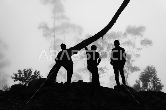 Silhouette of a group of people in the middle of nature, nature background, black and white photo, desert nature