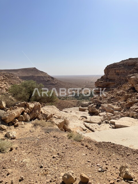 Mountain desert areas, sand dunes, desert nature, desert environment, sandy hills, mountain nature background, desert plants and trees, mountain heights