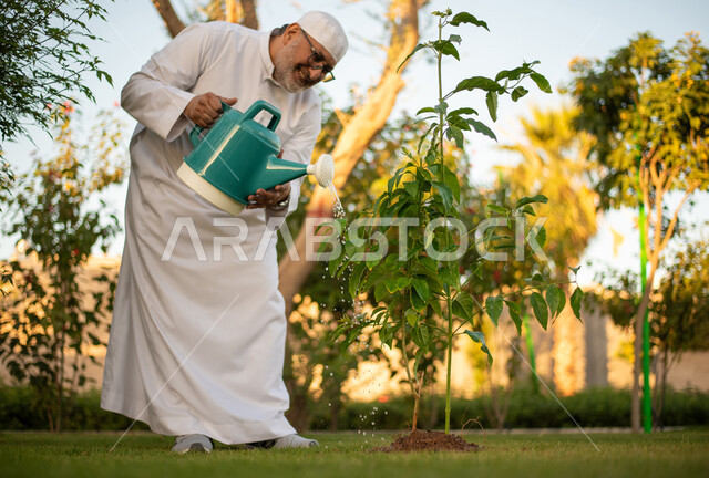 رجل عربي خليجي سعودي كبير بالسن يقوم بري الأشجار والنباتات بإستخدام وعاء السقي ، خلفية الطبيعة ، الأِشجار الطبيعية الخضراء