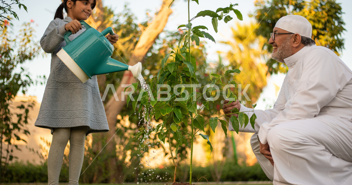 An elderly Saudi Arabian Gulf man spending quality time with his ...