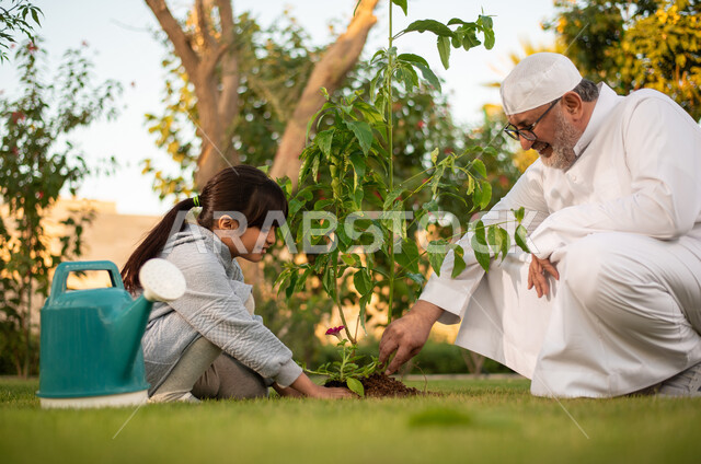 رجل عربي خليجي سعودي كبير بالسن يقضي وقت ممتع مع حفيدته في زراعة النباتات الطبيعية ، فعاليات وأجواء ترفيهية ، تعابير تدل على السعادة ، خلفية الطبيعة ، الأِشجار الطبيعية الخضراء ، التسليه والترفيه ، مشاركة عائلية