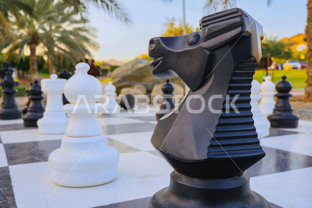 صورة مقربة لأحجار الشطرنج ، التسليه والترفيه ، رقعة الشطرنج ، أنشطة ترفيهية ، لعبة الشطرنج