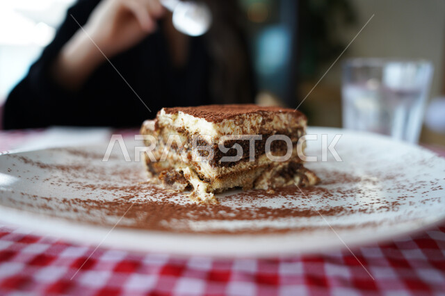 Delicious pieces of tiramisu cake, cake with chocolate layers, sweets and sugars, delicious dessert pieces