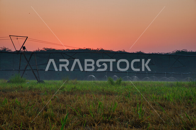 Future irrigation machines and equipment in an agricultural field in the Kingdom of Saudi Arabia, agricultural lands and fields, taking care of trees and green plants, pivot irrigation arms, trees and green plants, water sprinklers
