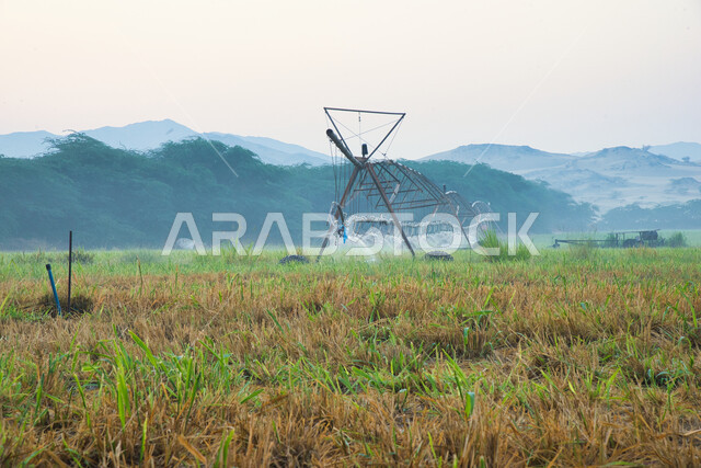 الات ومعدات الري المستقبلي في حقل زراعي بالمملكة العربية السعودية، الاراضي والحقول الزراعية، الاعتناء والاهتمام بالاشجار والنباتات الخضراء، اذرع الري المحوري، الاشجار والنباتات الخضراء، رشاشات المياه