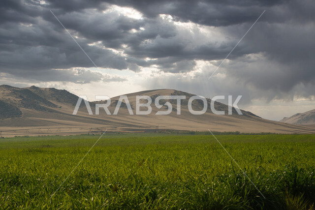 الحقول الزراعية في المملكة العربية السعودية، السماء الملبدة بالغيوم، الاشجار والنباتات الخضراء، نباتات عشبية، مناظر طبيعية خلابة، الجبال والمرتفعات، خلفية الطبيعة