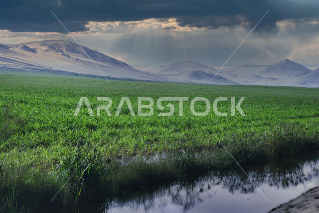 الحقول الزراعية في المملكة العربية السعودية، السماء الملبدة بالغيوم، الاشجار والنباتات الخضراء، نباتات عشبية، مناظر طبيعية خلابة، الجبال والمرتفعات، خلفية الطبيعة