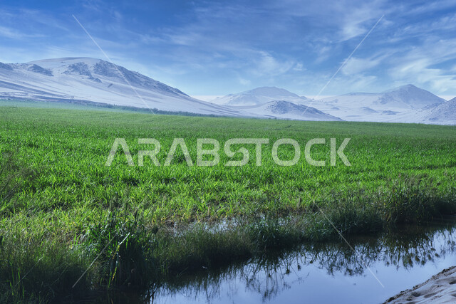 الحقول الزراعية في المملكة العربية السعودية، السماء الملبدة بالغيوم، الاشجار والنباتات الخضراء، نباتات عشبية، مناظر طبيعية خلابة، الجبال والمرتفعات، خلفية الطبيعة