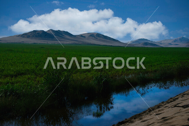 الحقول الزراعية في المملكة العربية السعودية، السماء الملبدة بالغيوم، الاشجار والنباتات الخضراء، نباتات عشبية، مناظر طبيعية خلابة، الجبال والمرتفعات، خلفية الطبيعة