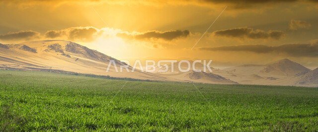 صورة بانورامية للحقول الزراعية في المملكة العربية السعودية، السماء الملبدة بالغيوم، الاشجار والنباتات الخضراء، نباتات عشبية، مناظر طبيعية خلابة، الجبال والمرتفعات، خلفية الطبيعة