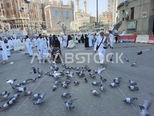 حجاج بيت الله الحرام في الفناء الخارجي للحرم المكي في مكة المكرمة بالمملكة العربية السعودية، الابراج والفنادق المطلة على الحرم المكي، حجاج بيت الله يطعمون الحمام، معالم اسلامية، السياحة الدينية في السعودية