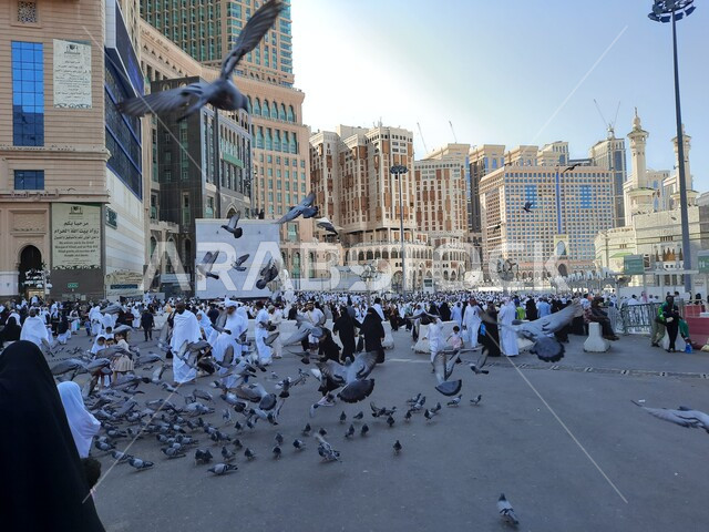 حجاج بيت الله الحرام في الفناء الخارجي للحرم المكي في مكة المكرمة بالمملكة العربية السعودية، الابراج والفنادق المطلة على الحرم المكي، حجاج بيت الله يطعمون الحمام، معالم اسلامية، السياحة الدينية في السعودية